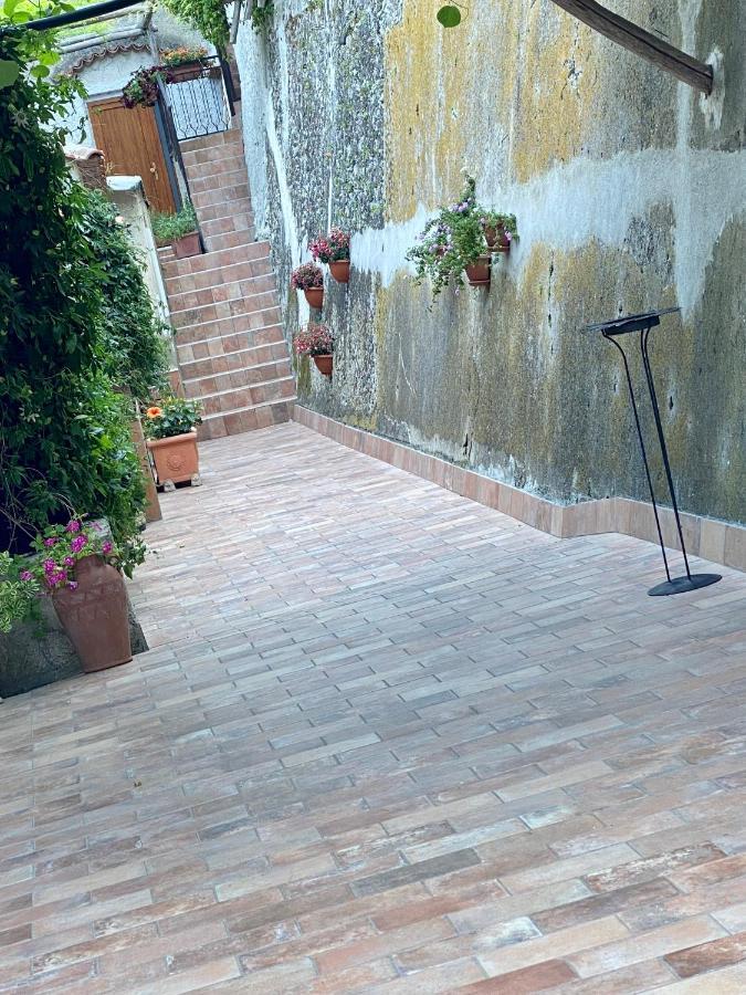 Il Limoneto Di Teresa Amalfi Coast Lejlighed Maiori Eksteriør billede