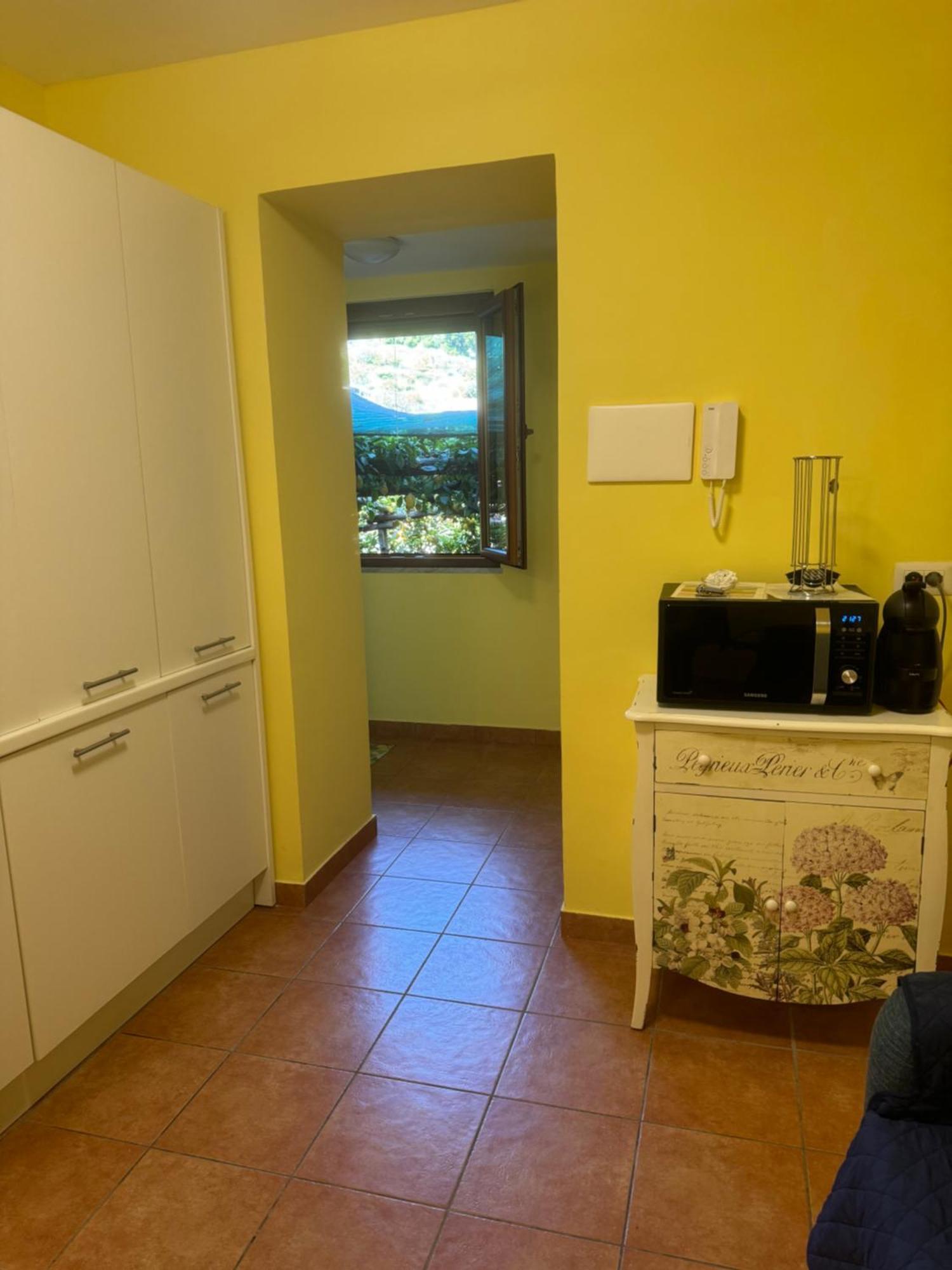 Il Limoneto Di Teresa Amalfi Coast Lejlighed Maiori Eksteriør billede