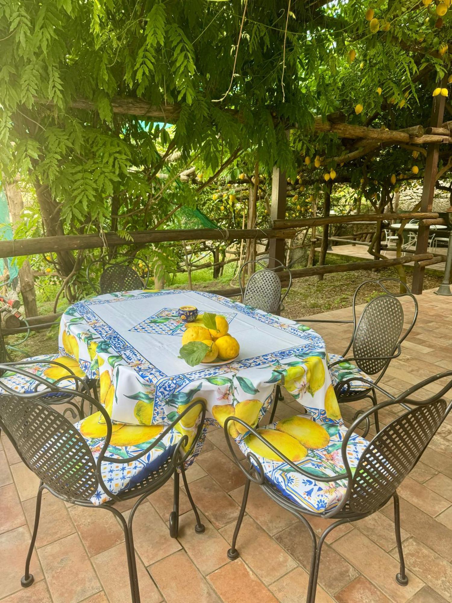 Il Limoneto Di Teresa Amalfi Coast Lejlighed Maiori Eksteriør billede